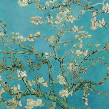 Almond-Blossom-by-Van-Gogh-WEB-SWATCH-820x532-820x532