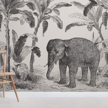loxodonta-vintage-explorer-room-wall-mural-kj-820x532